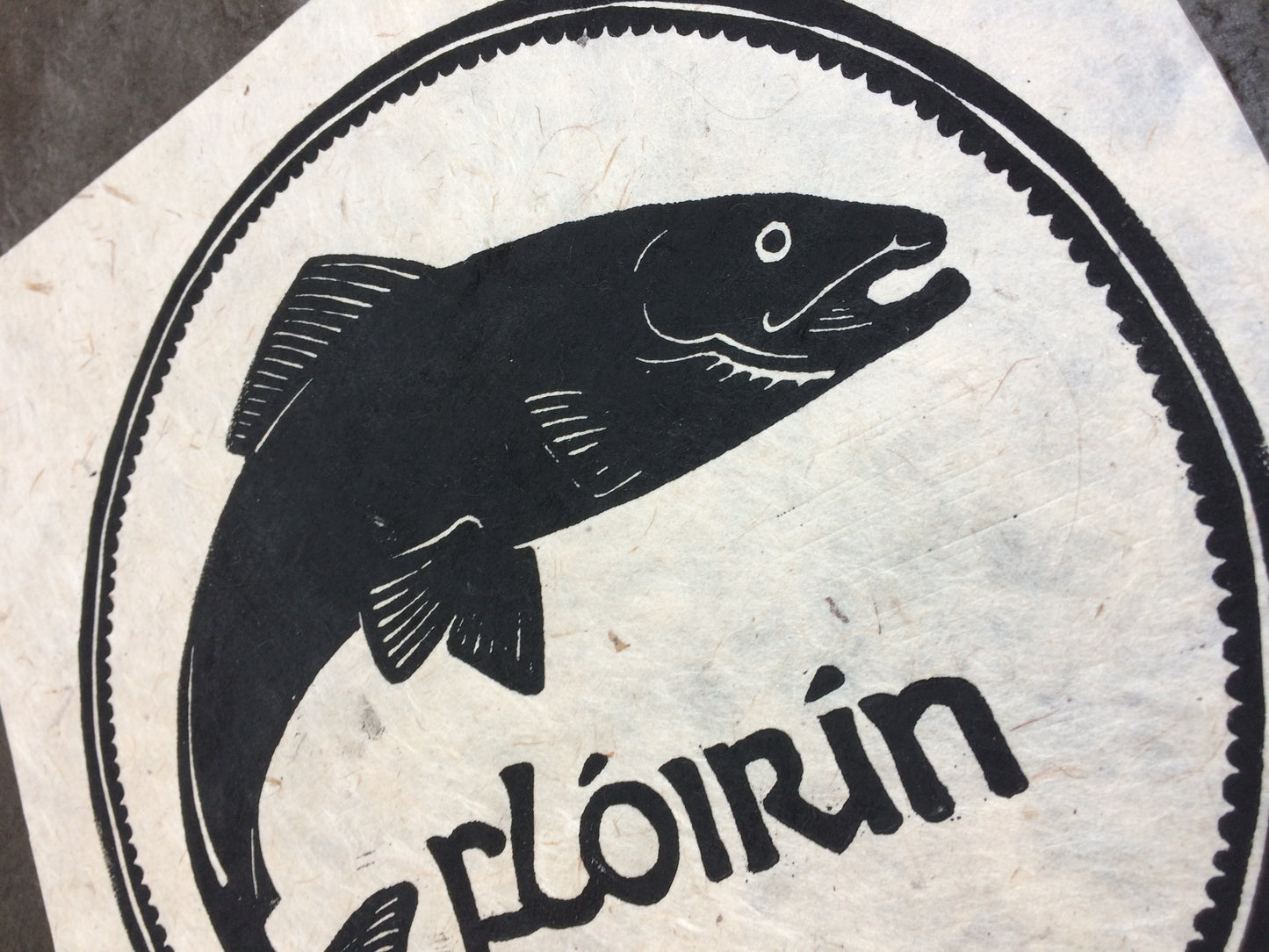 Florin Two Shillings Salmon Irish Coin Lino Print