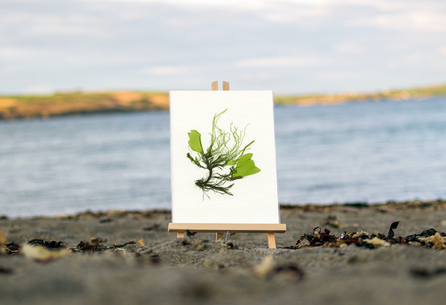 F12 Spiky Tendrils Print