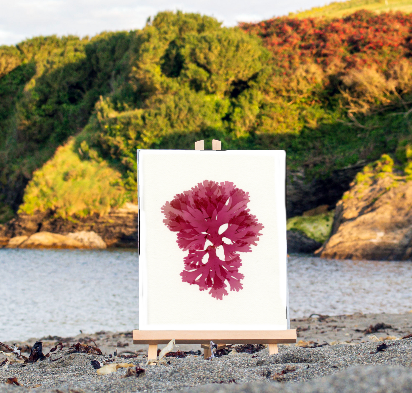 F14 Beautiful Fan Weed II Print