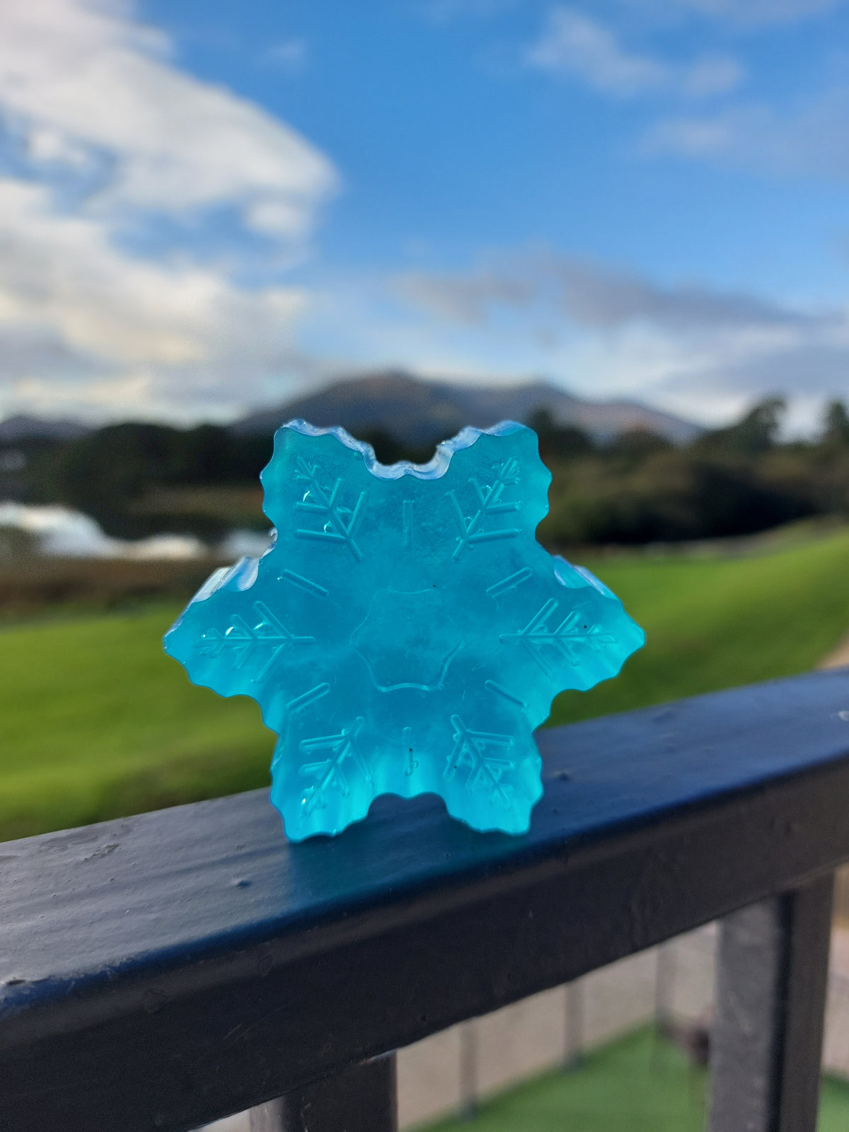 Winter Wonderland Soap