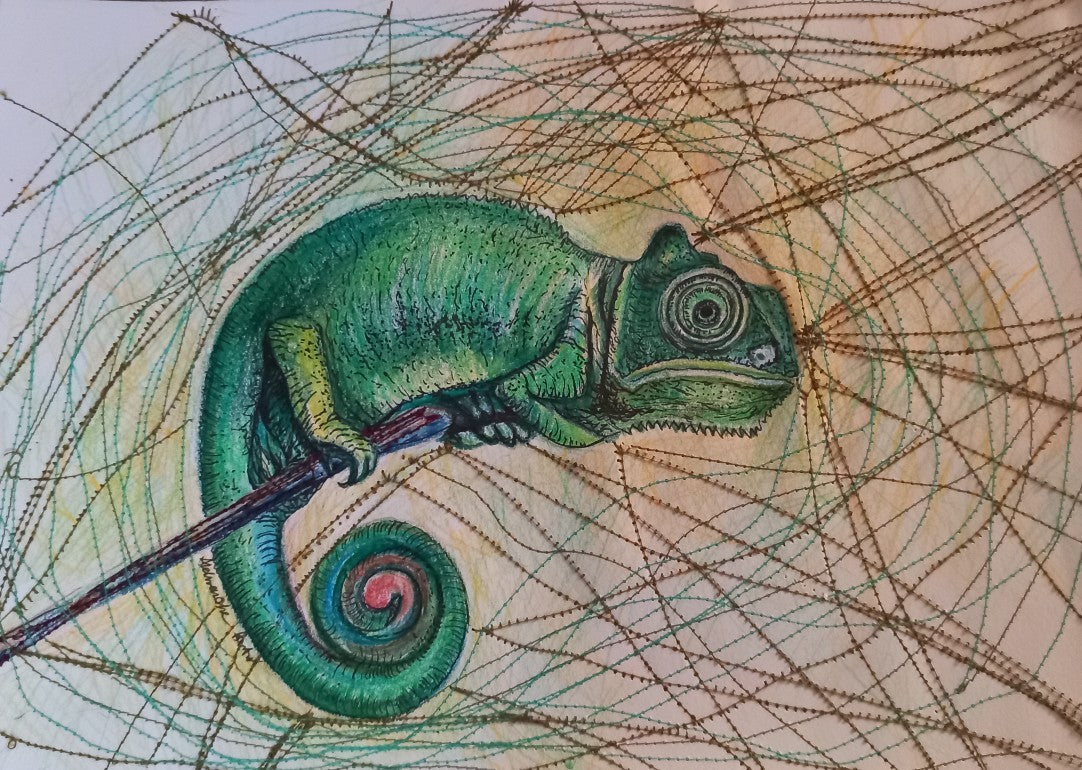 cotton scarf with print