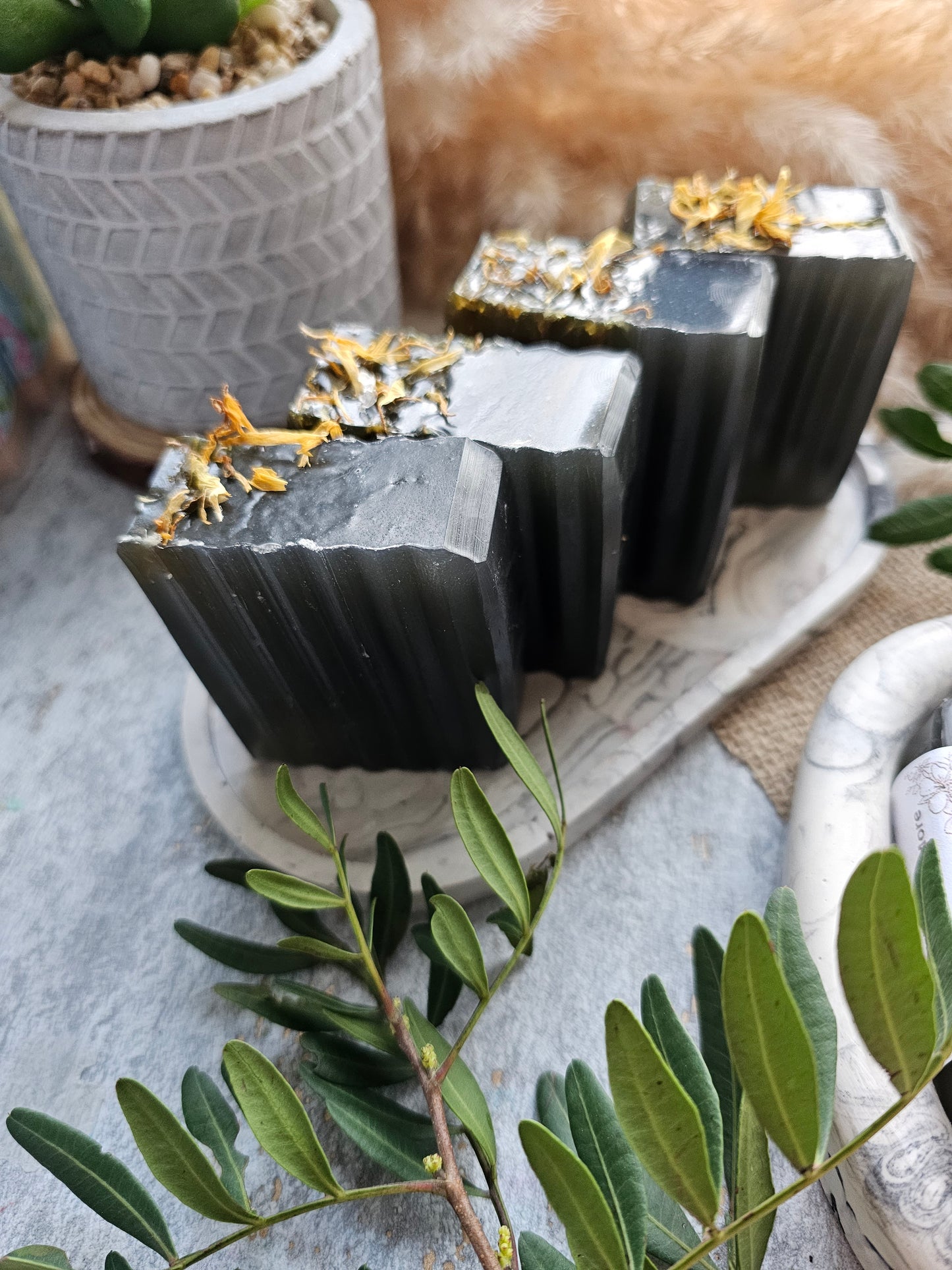 Black Seed Soap with Tea Tree