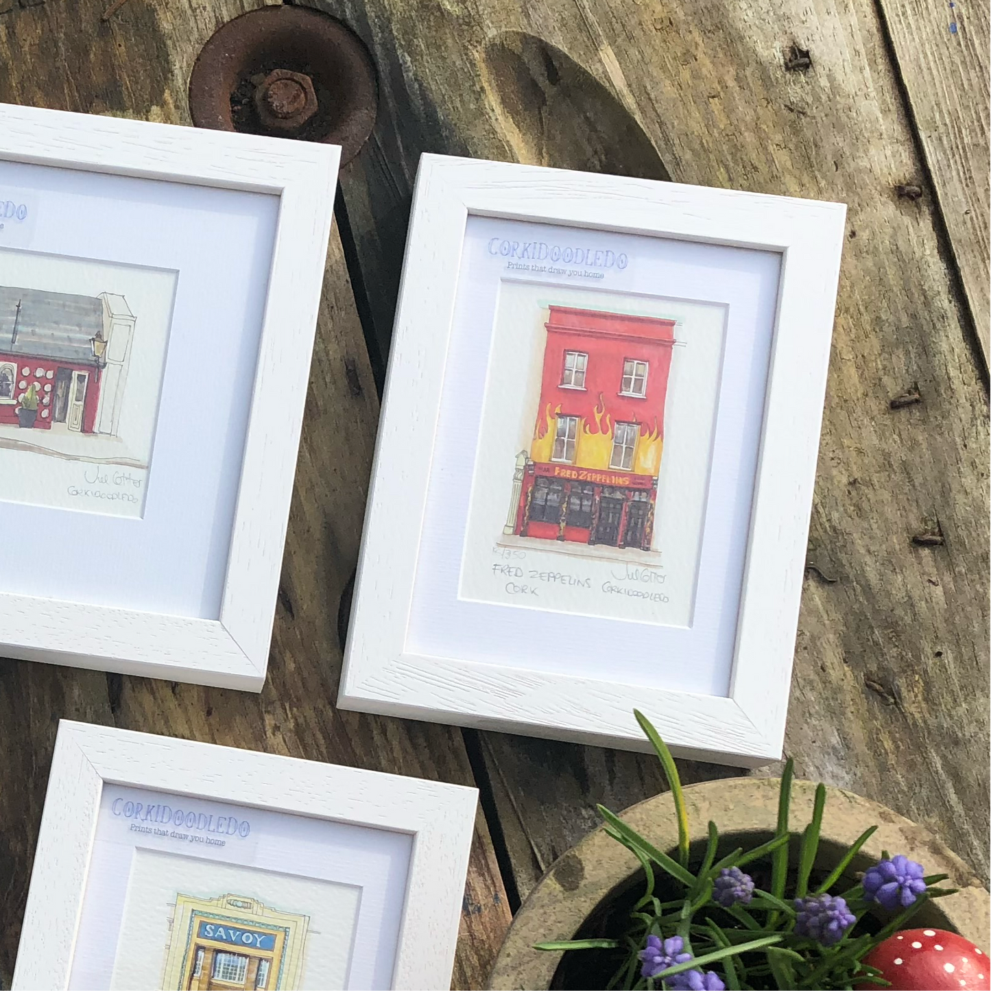 Fred Zeppelins FRAME