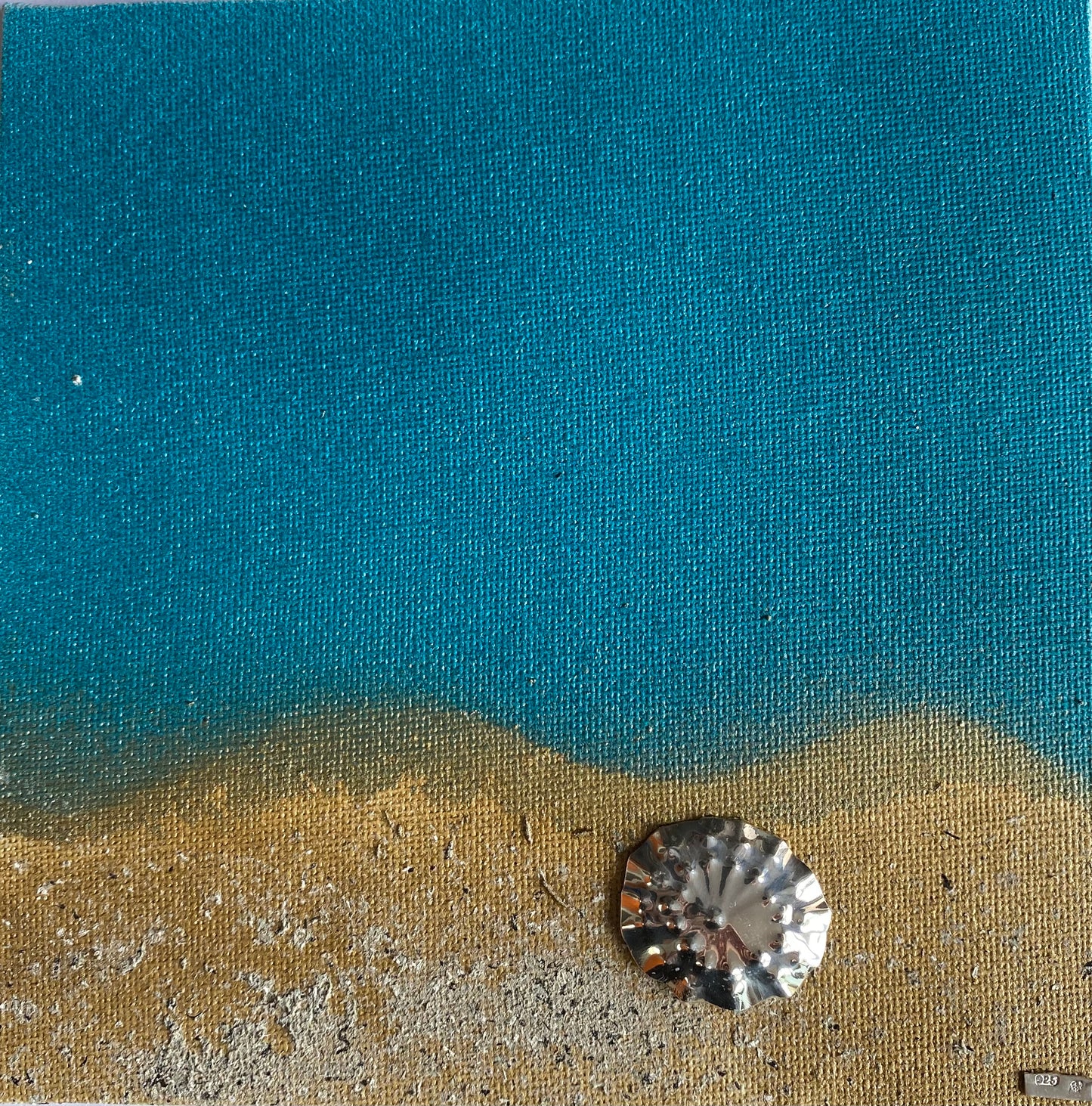 Framed Silver Limpet Shell