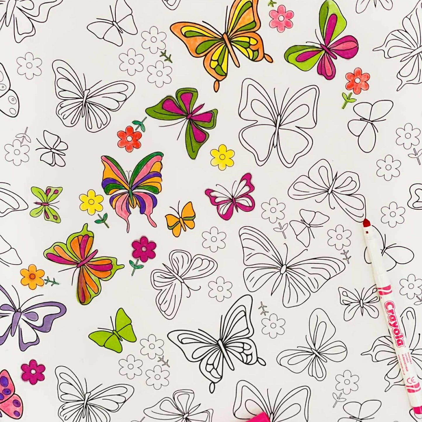 DC Butterfly 'Colour Me' Placemat with 12 Washable | Reversible Colouring Placemat