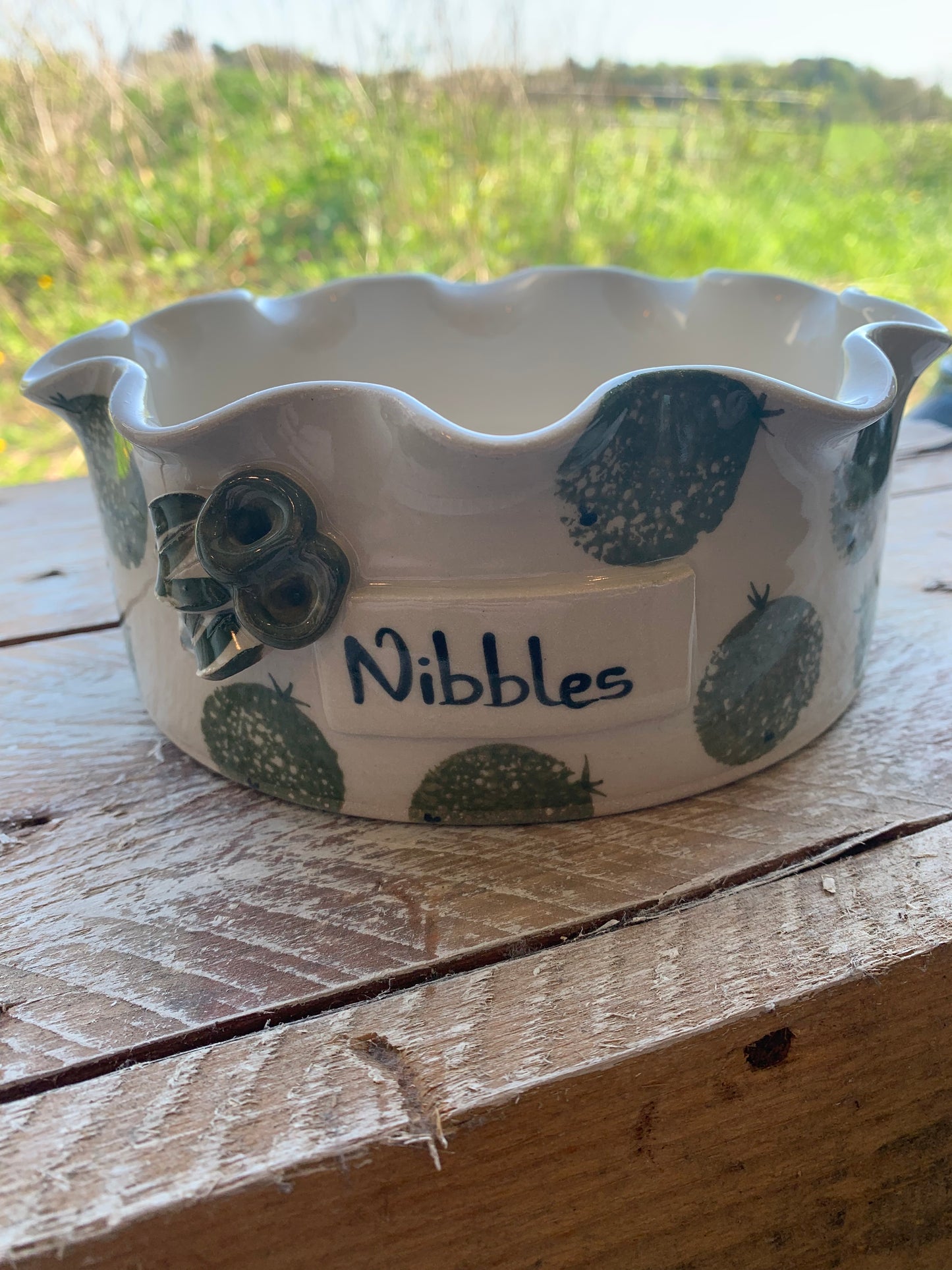 Nibbles (g)