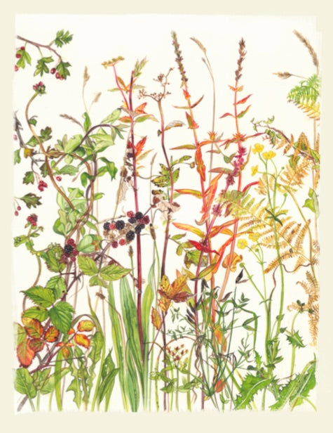 Print Framed Hedgerow Autumn