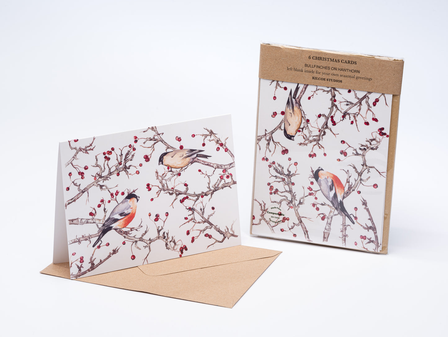x Christmas Cards - Lrg Bullfinch Pack