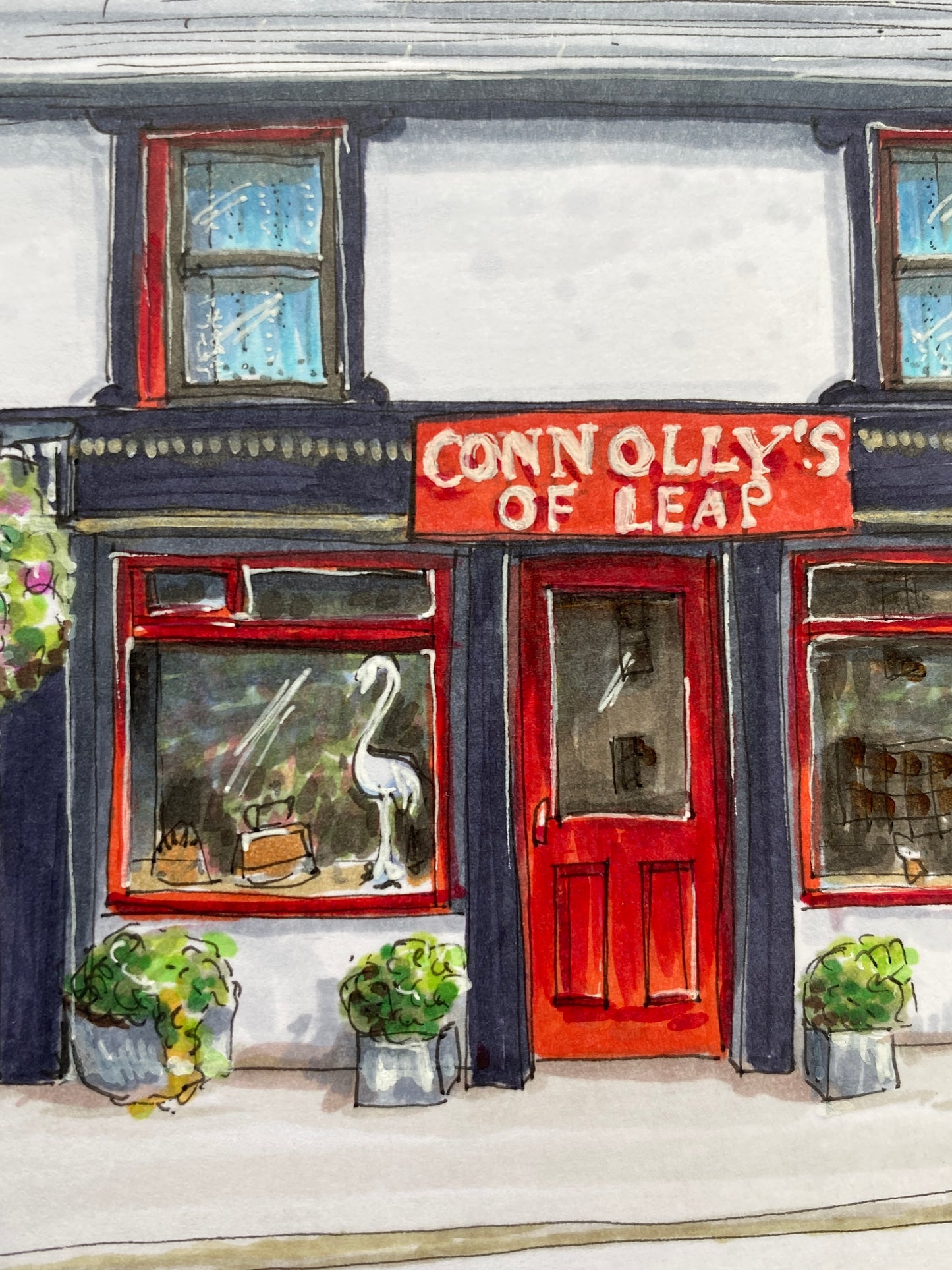 Connollys of Leap Print