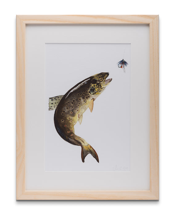Print Framed Trout