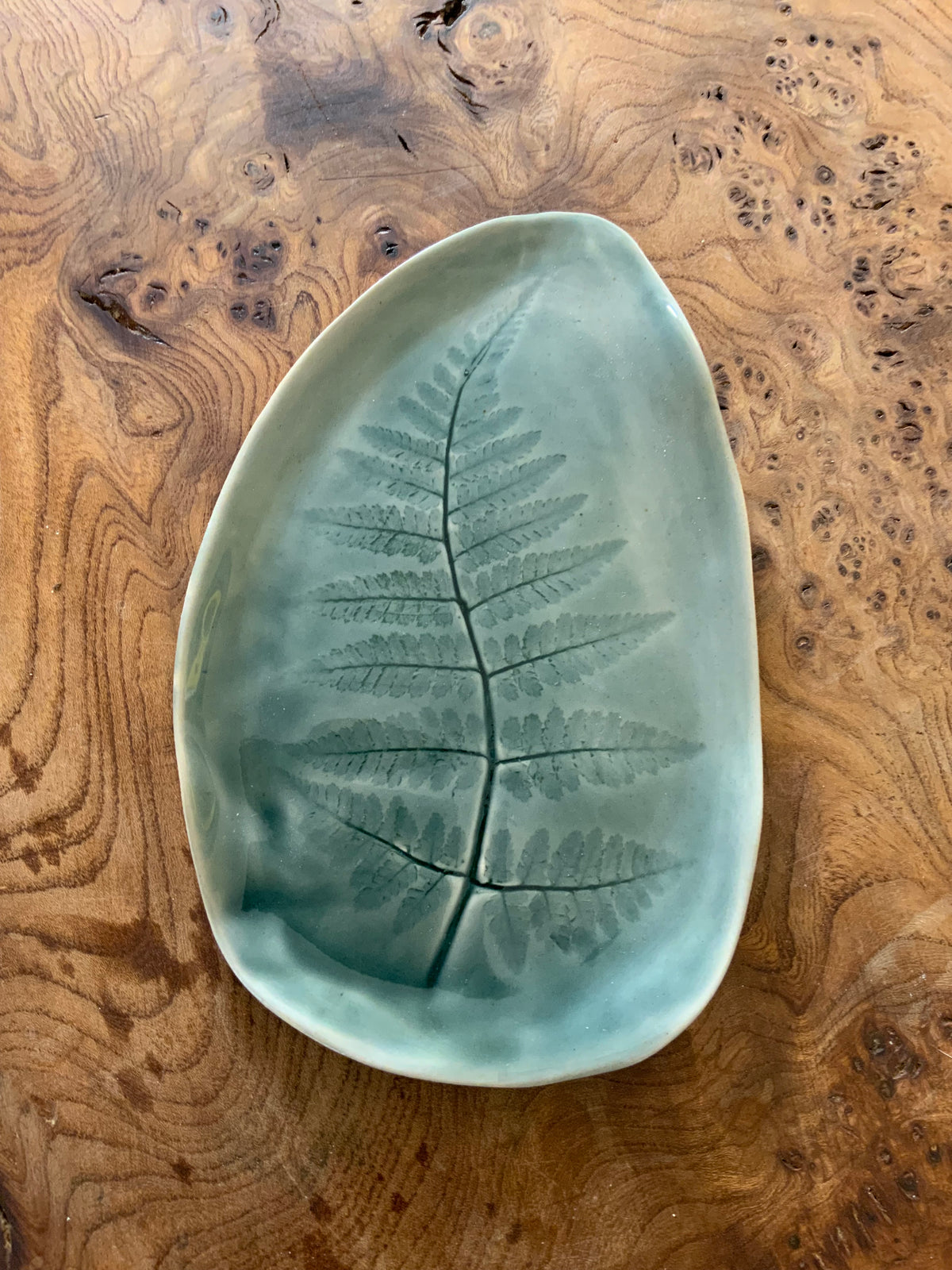Fern dish