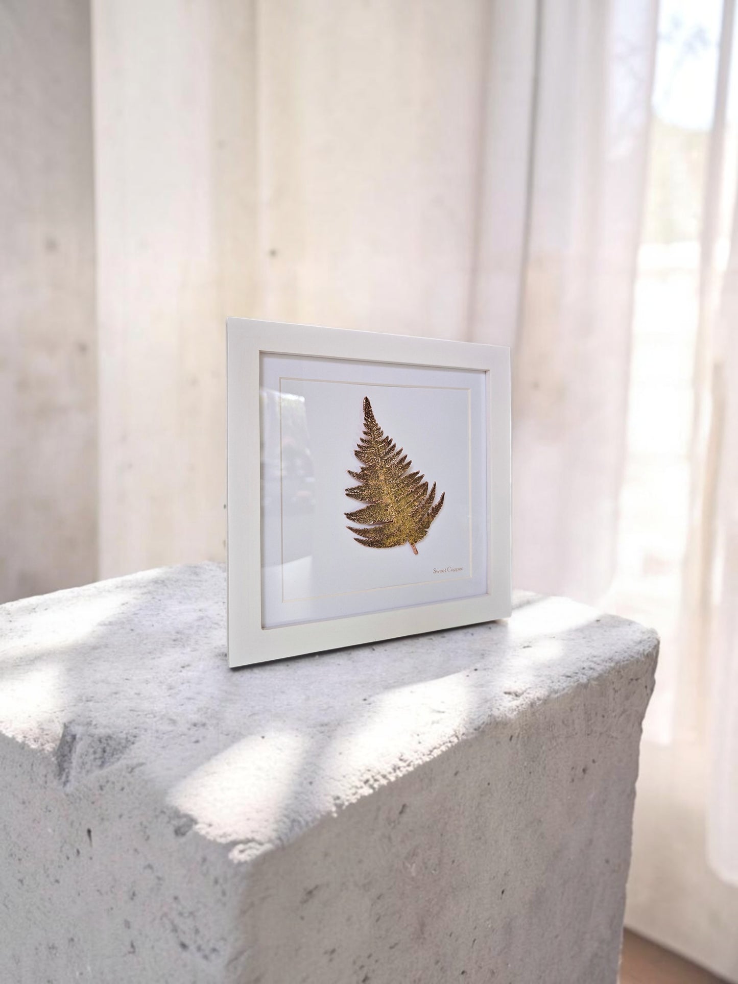 15. PIGS BACK. Forest Lace – Framed Copper Fern Interior Art
