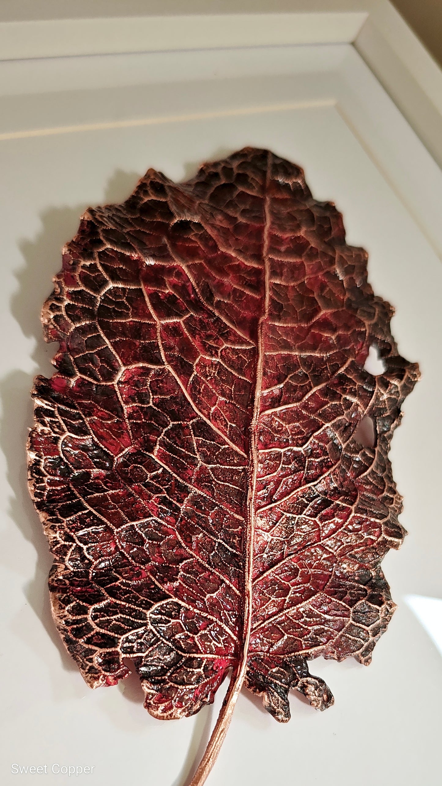4. PIGS BACK. Pulse – Framed Copper Wild Leaf Interior Art