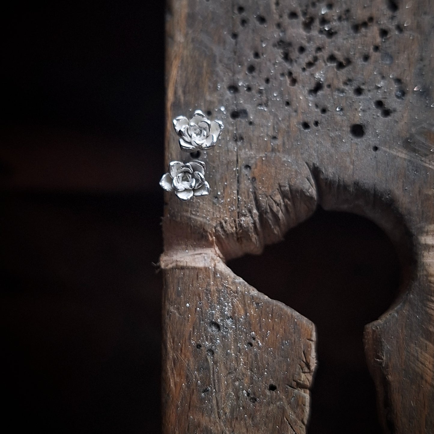 Succulent stud earrings