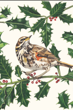 x Christmas Cards Mini Redwing
