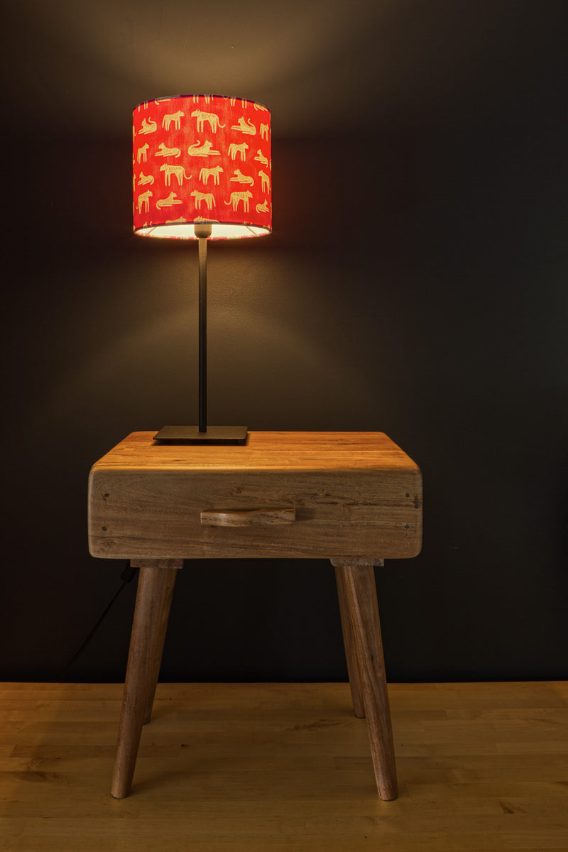 Make a Lampshade with Mr Kite- Friday 15th Aug 7-9pm, Greywood Arts Events