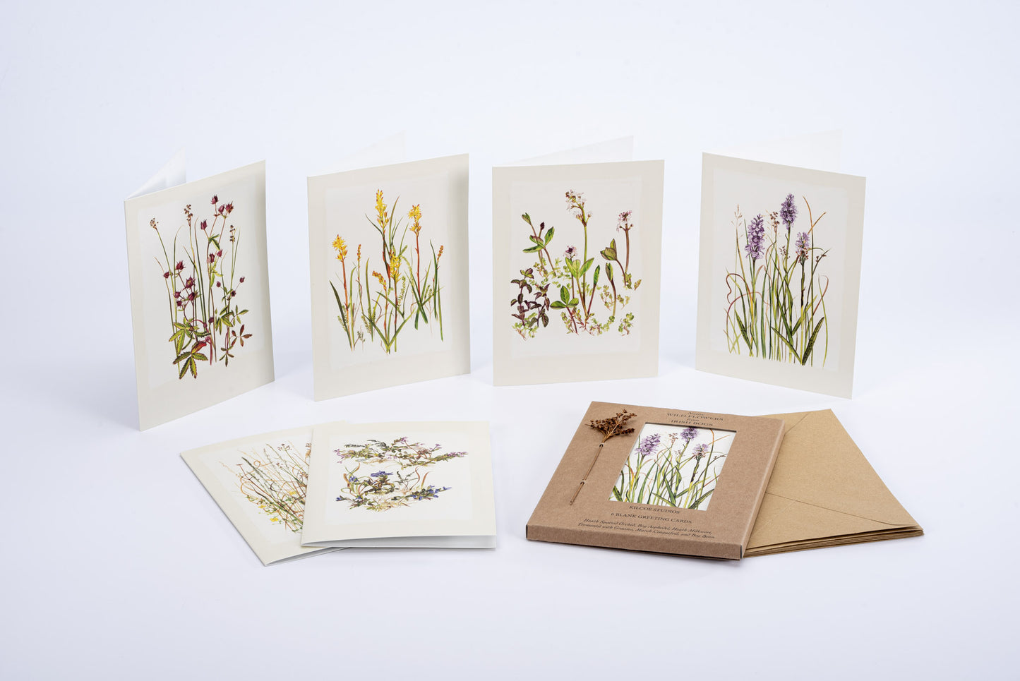 Bog Flower Card Pack