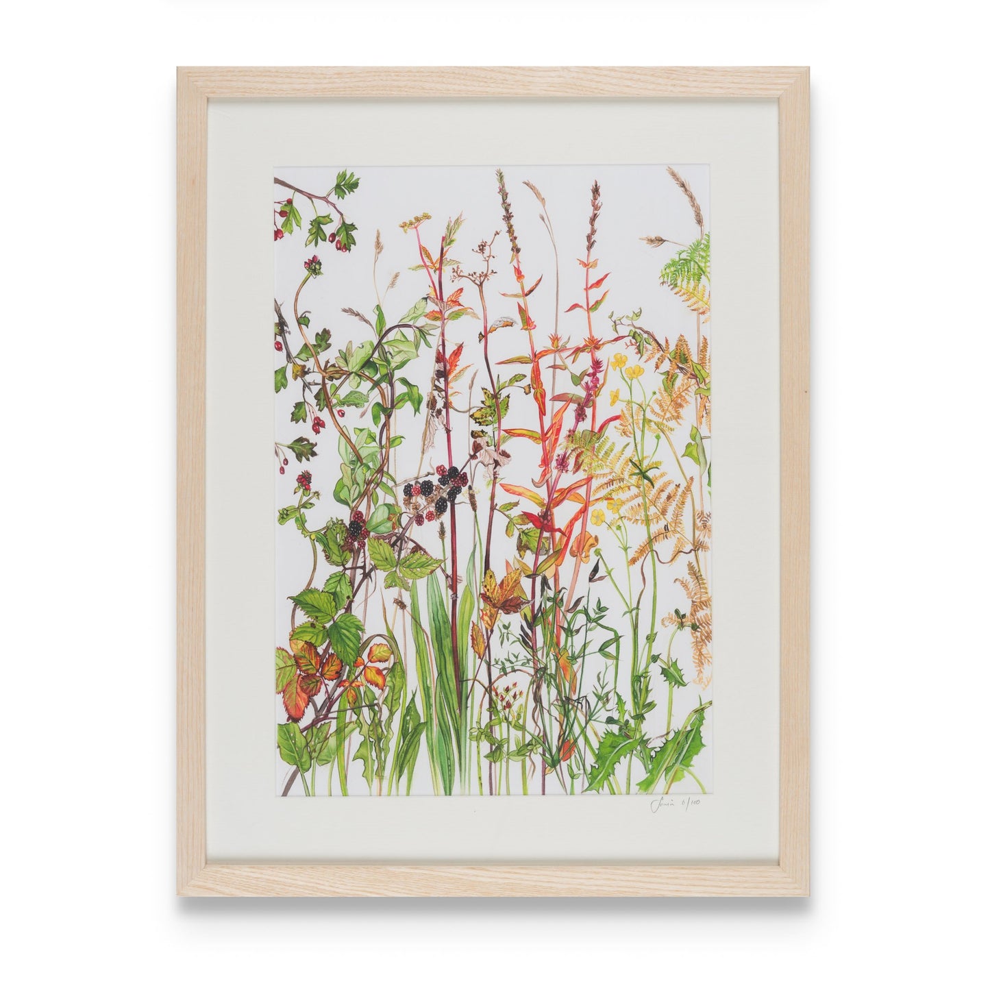 Print Mounted - Autumn Hedgerow
