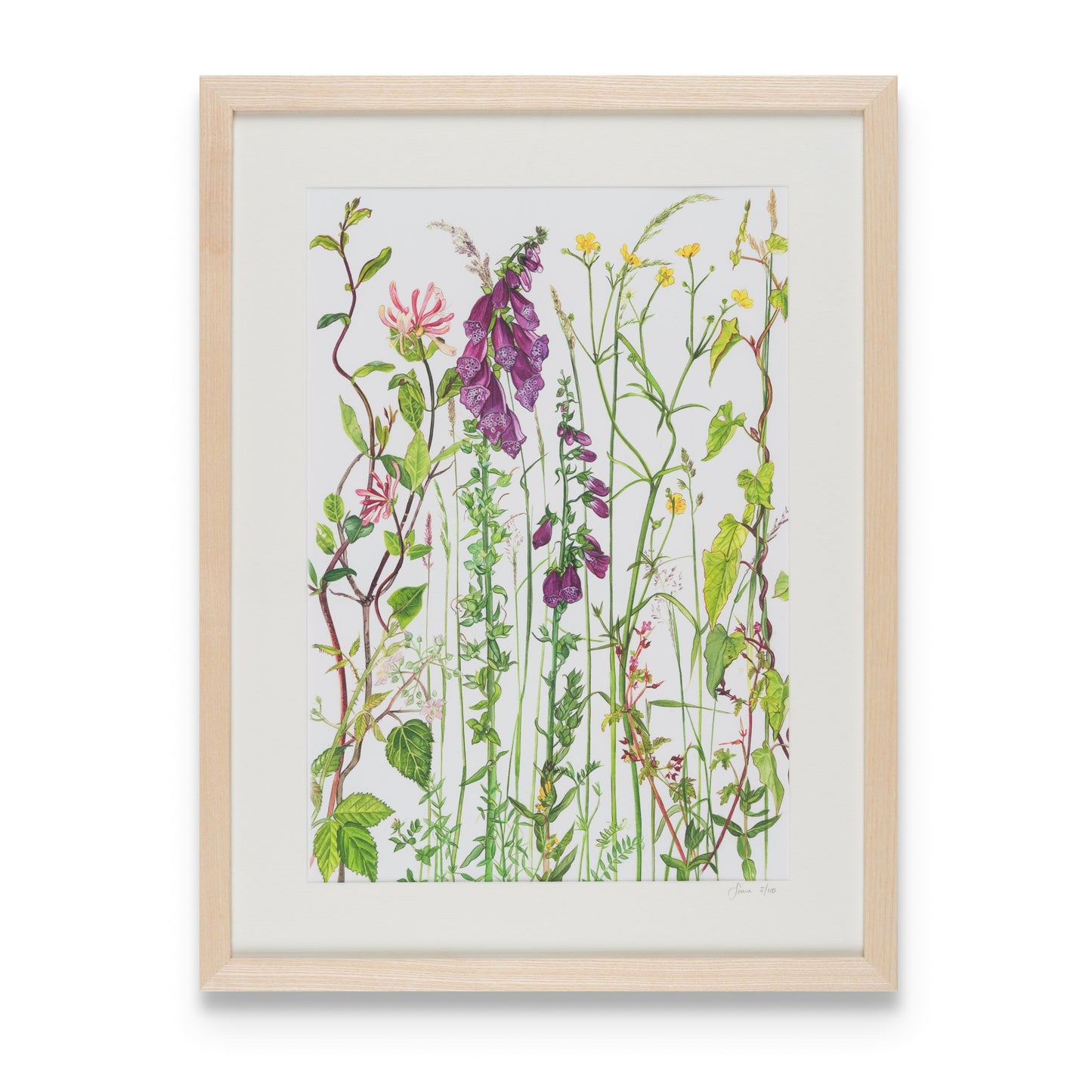 Print framed Summer Hedgerow