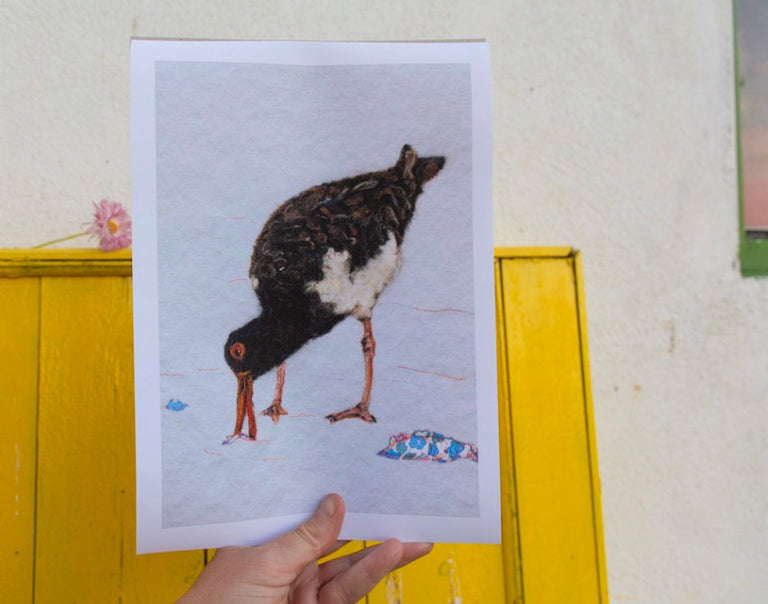 Oystercatcher Print