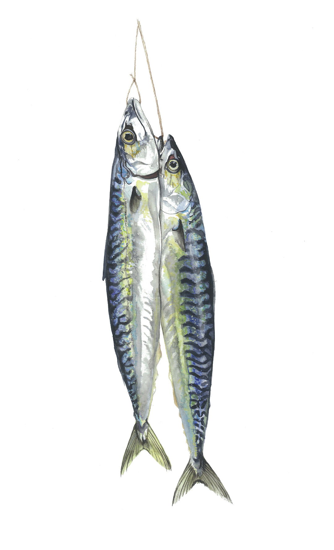 Print Framed Mackerel