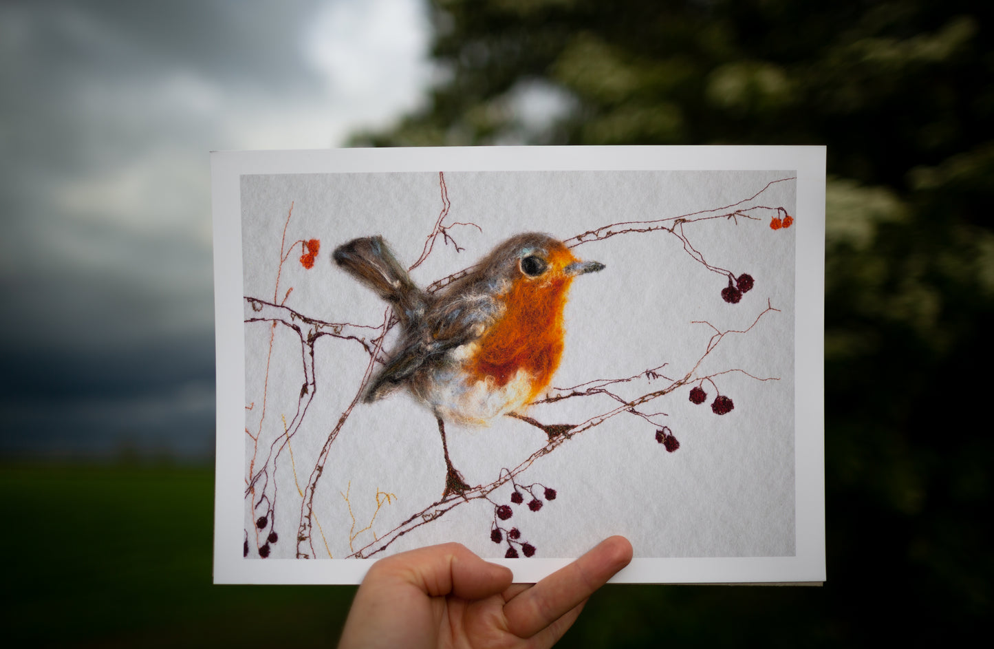 Robin Leaf Print | Irish robin art