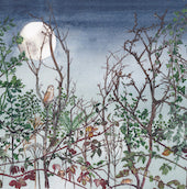 x Christmas Cards Moonlight Hedgerow & Owl