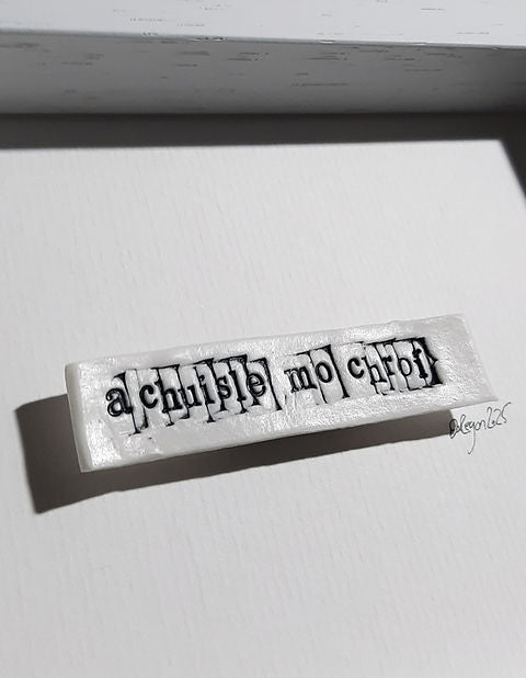 ' a chuisle mo chroí'