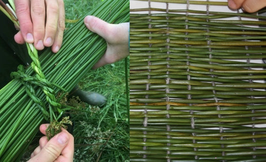 Rush Rattle, Rope and Weaving Workshop with Sonia Caldwell- Tuesday 19th Aug 12-2.30pm, Skibbereen Library
