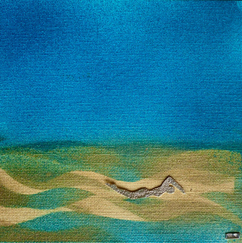 Framed Silver Swimmer