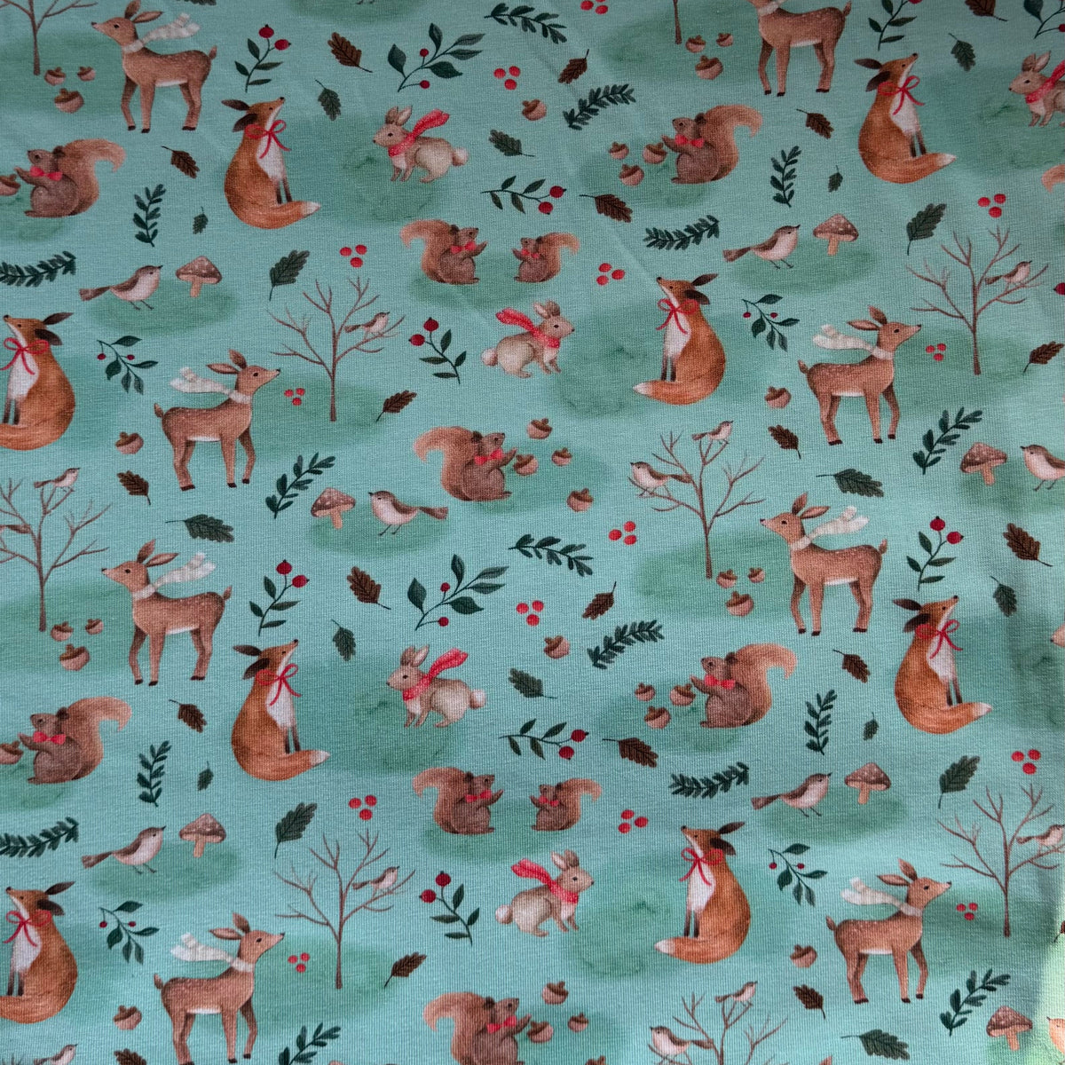 Mint Forest Life  bib -  Baby Bandana Bib – Absorbent Dribble Bib