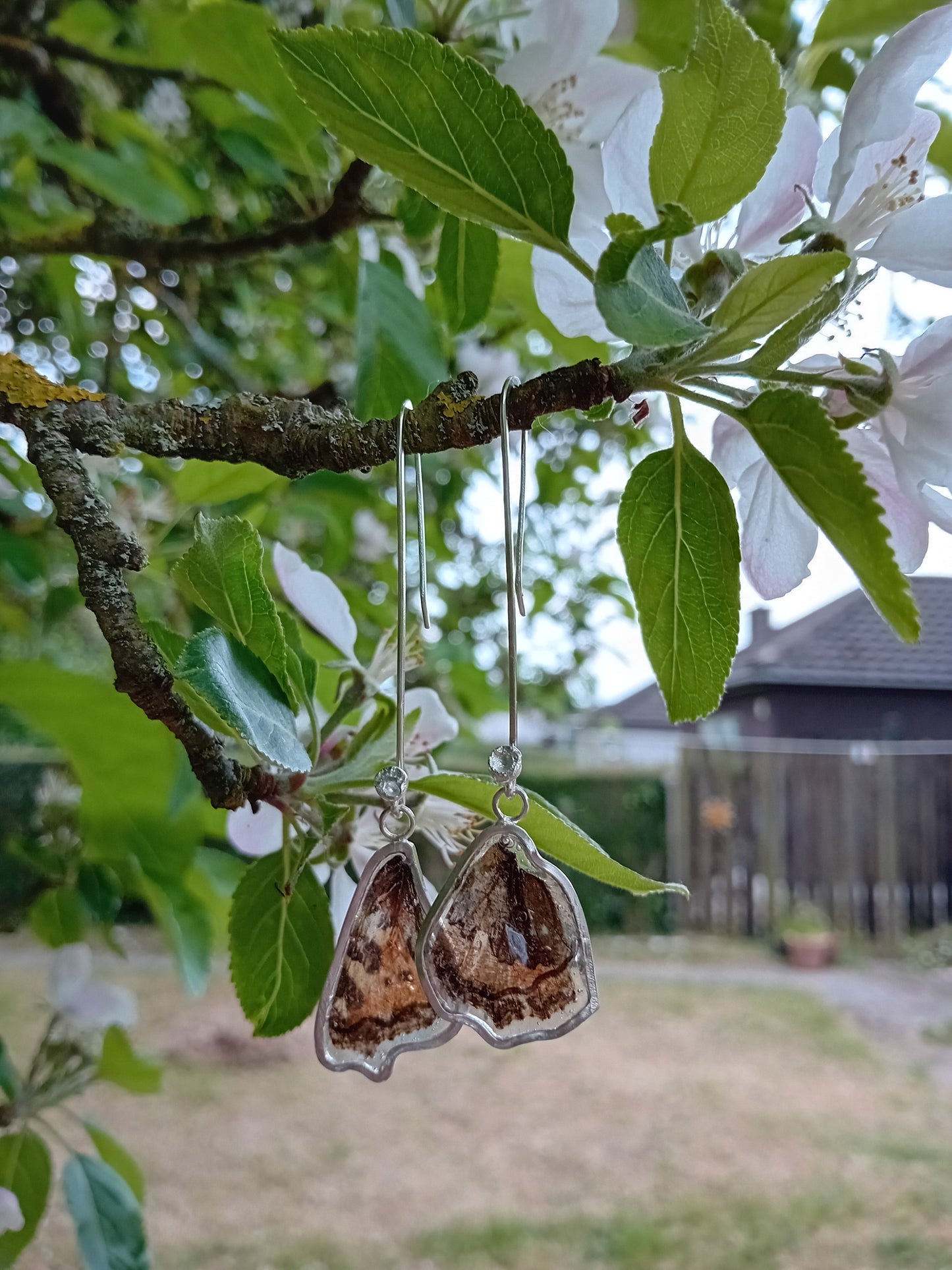 Sterling Silver Butterfly Earrings