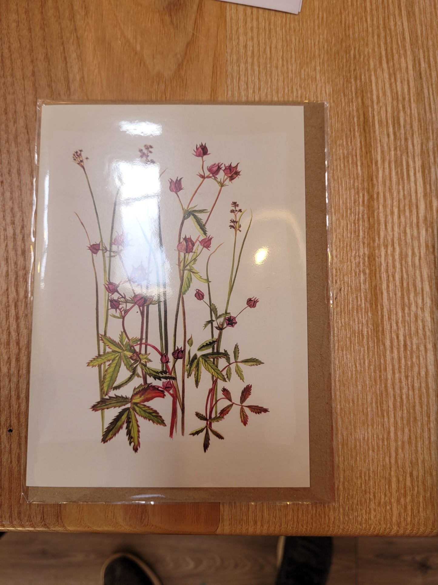 Marsh Cinquefoil Card