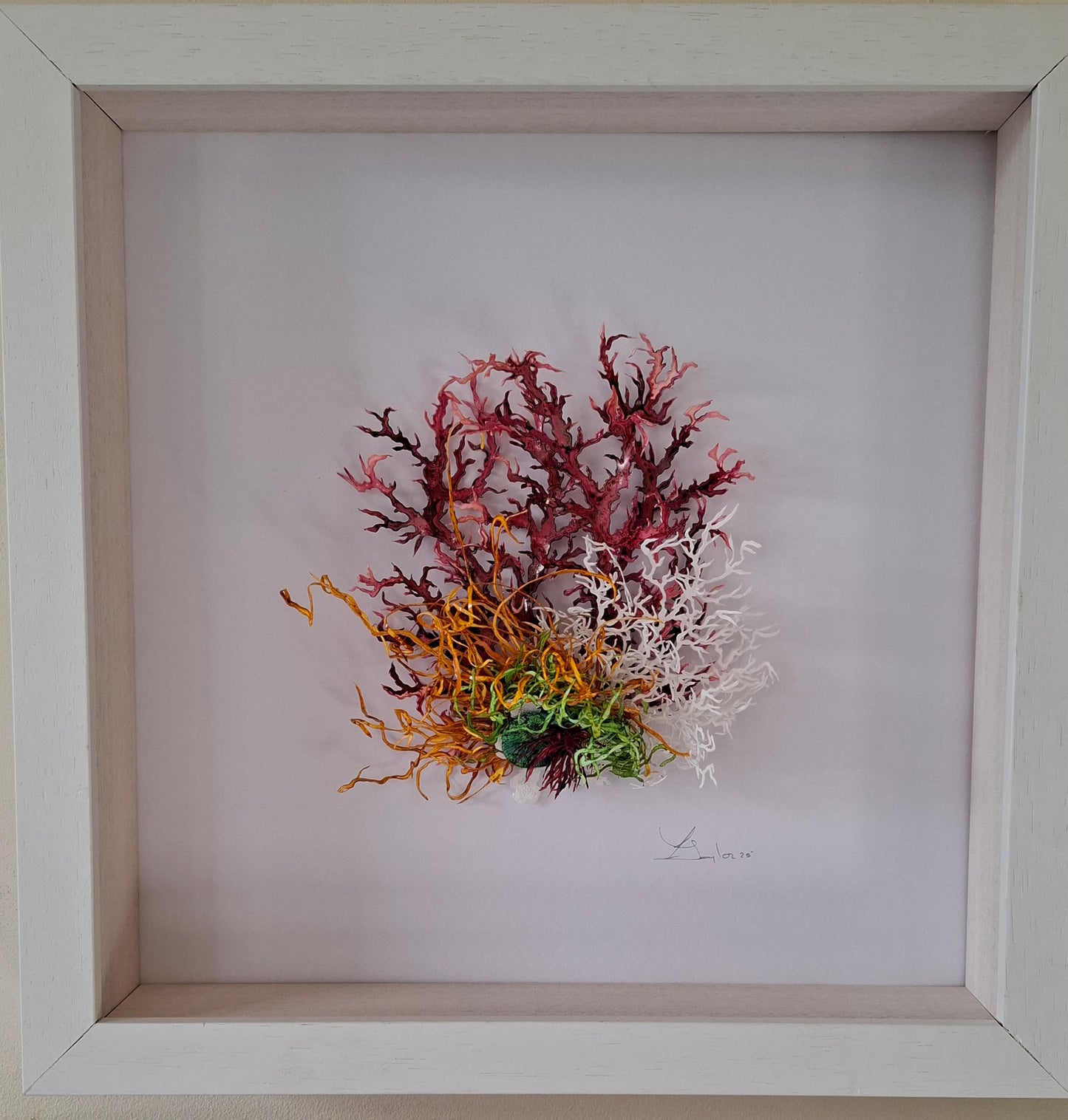 Seaweeds