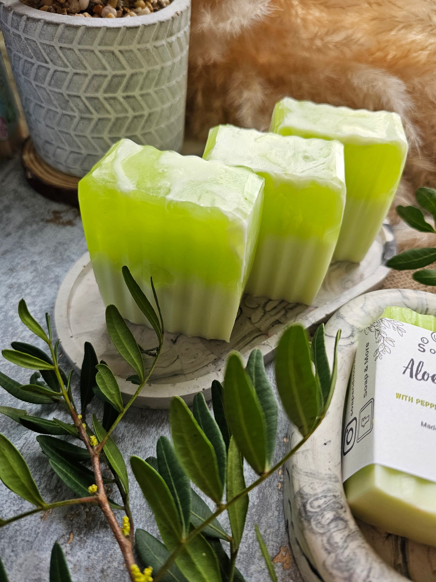 Aloe Vera Soap