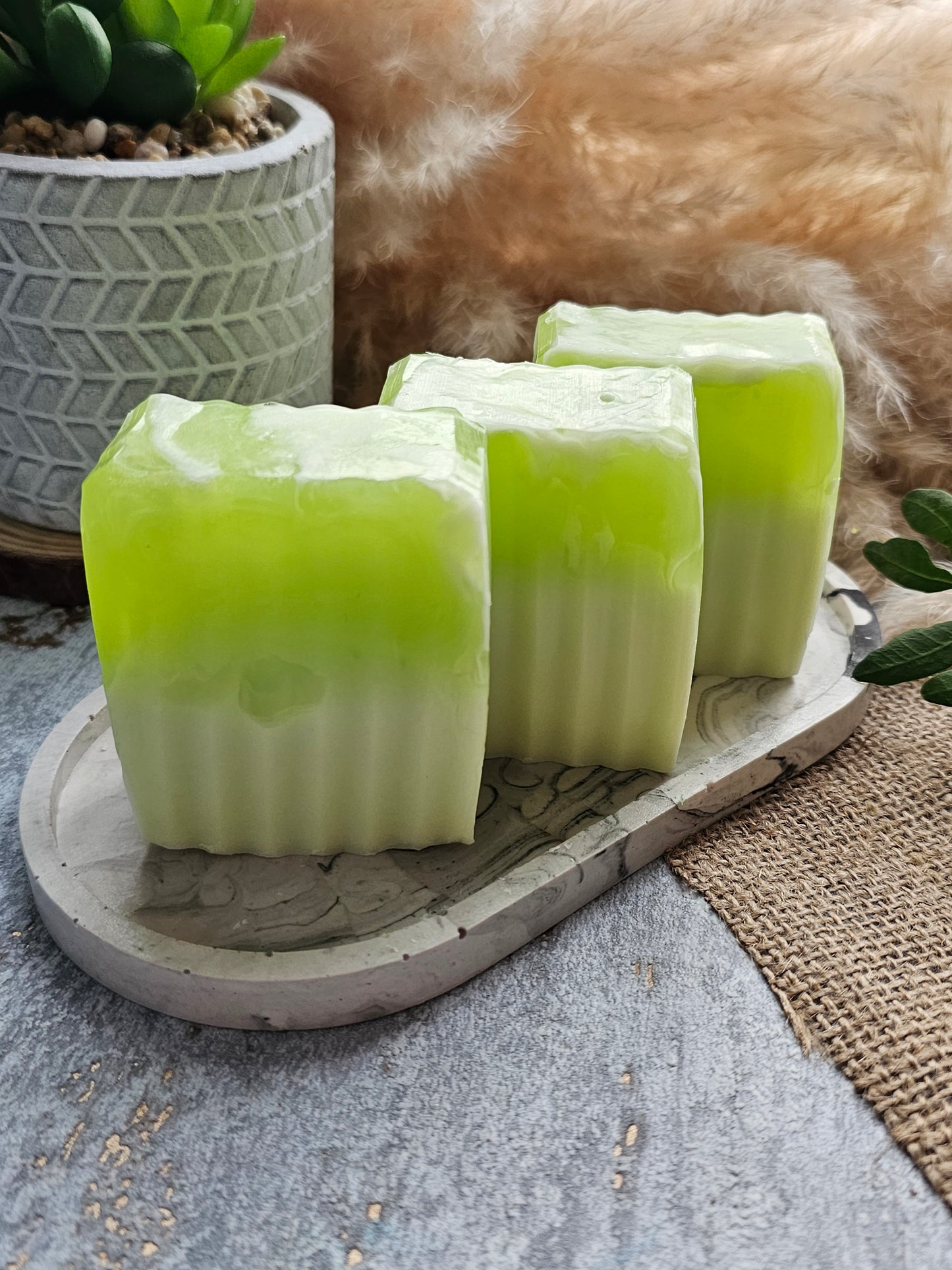 Aloe Vera Soap