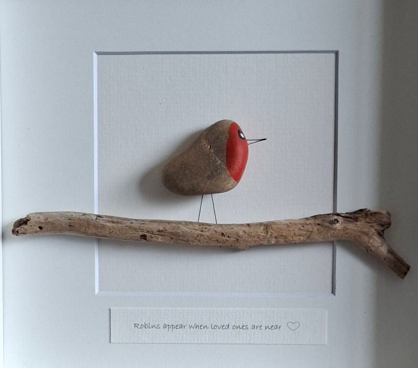 Robins Appear Med