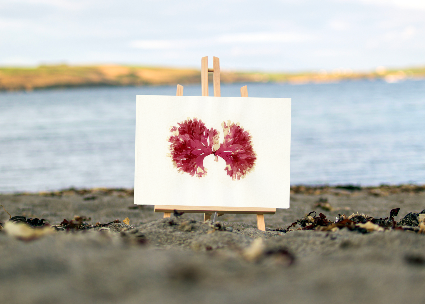 Beautiful Fan Weed Print (F04)