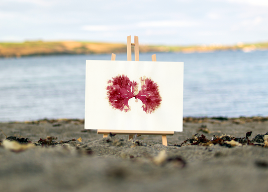 Beautiful Fan Weed Print (F04)