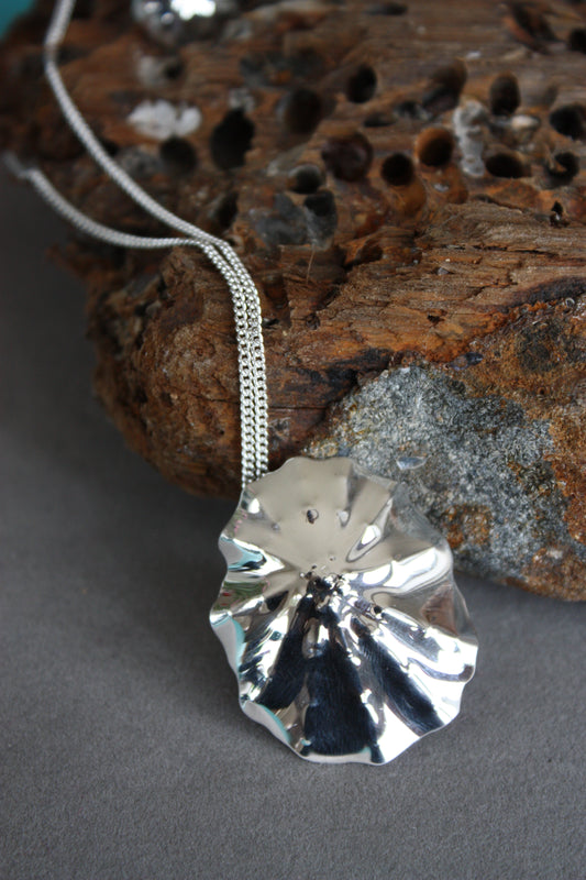 Limpet Shell Necklace Large