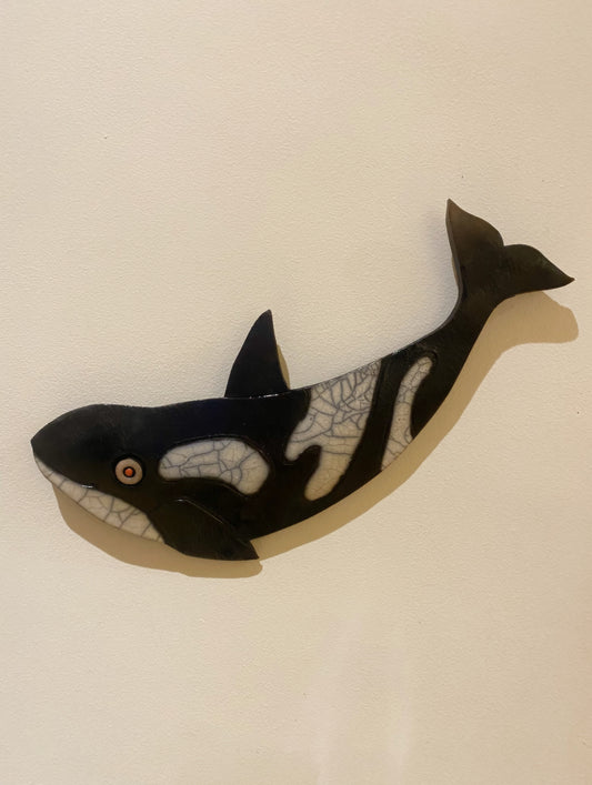 killer whale