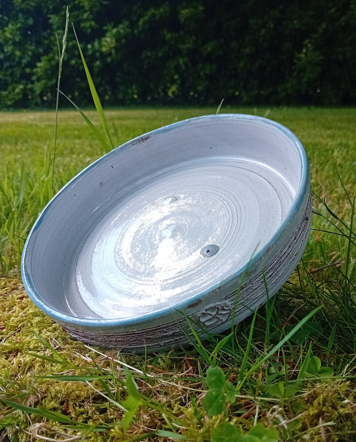 7" white Round Platter with Blue Rim