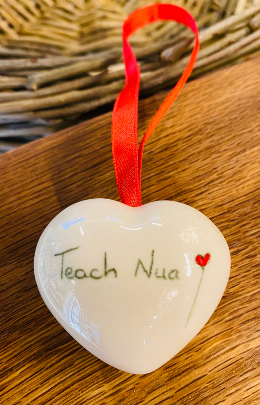 Teach Nua - New house