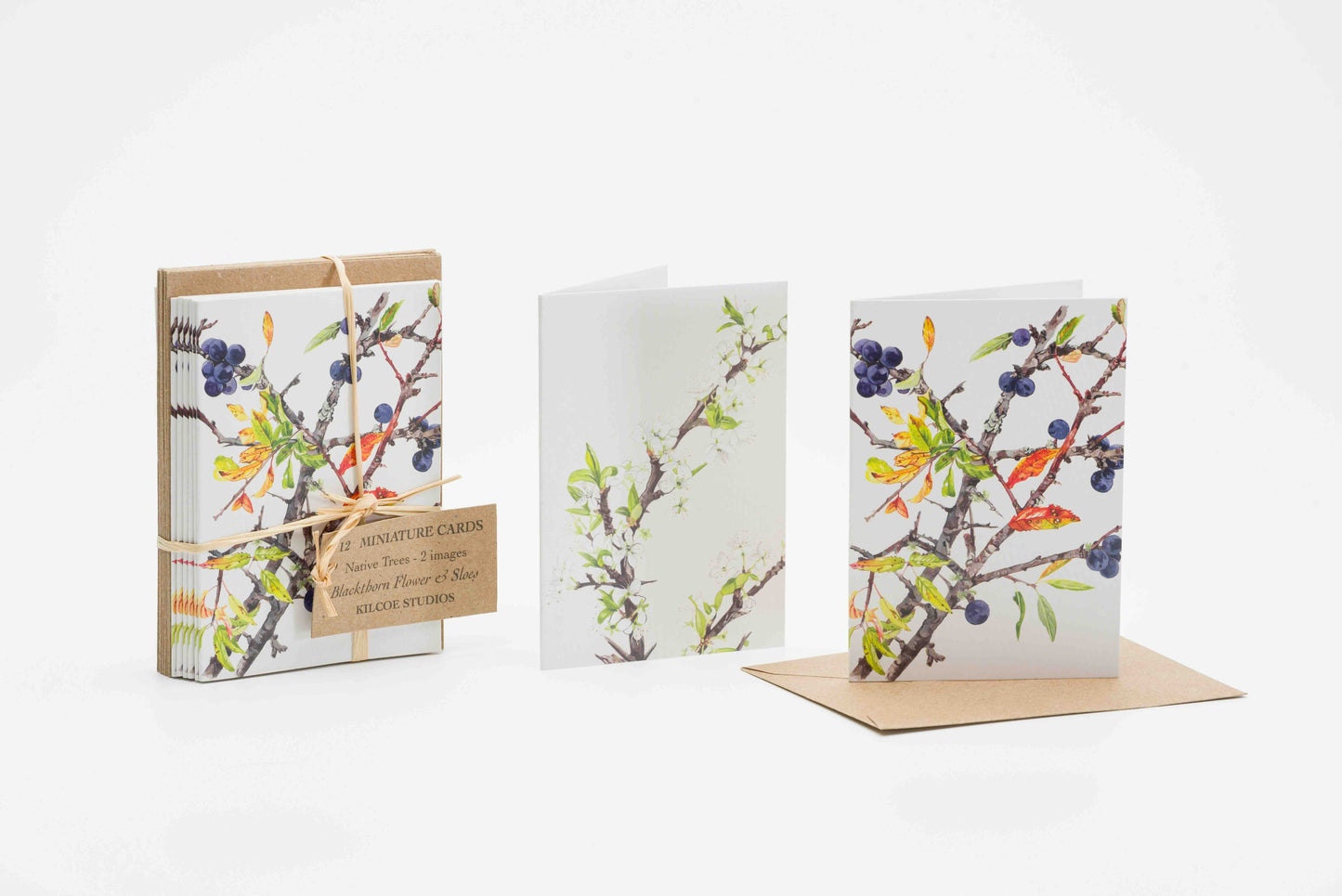 Mini Blackthorn & Sloes Card Pack