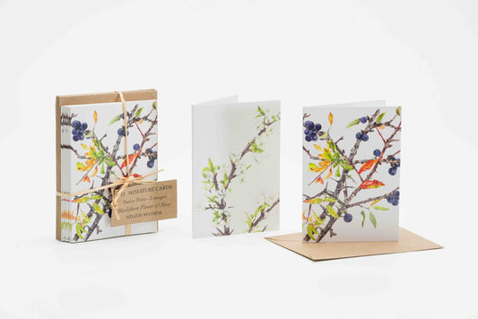 Mini Blackthorn & Sloes Card Pack