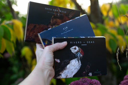 Greeting card set | Pack of 8 scards | River + Seas