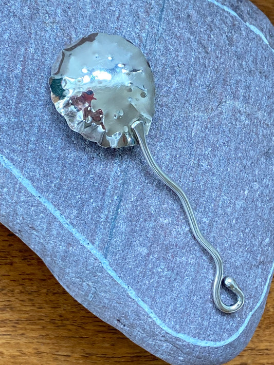 Limpet Shell Coffee Spoon