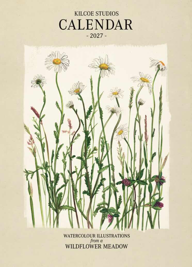 2026 Calendar Native Irish Wildflowers with Irish Moths