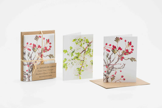 Mini Hawthorn Flowers & Berries Card Pack