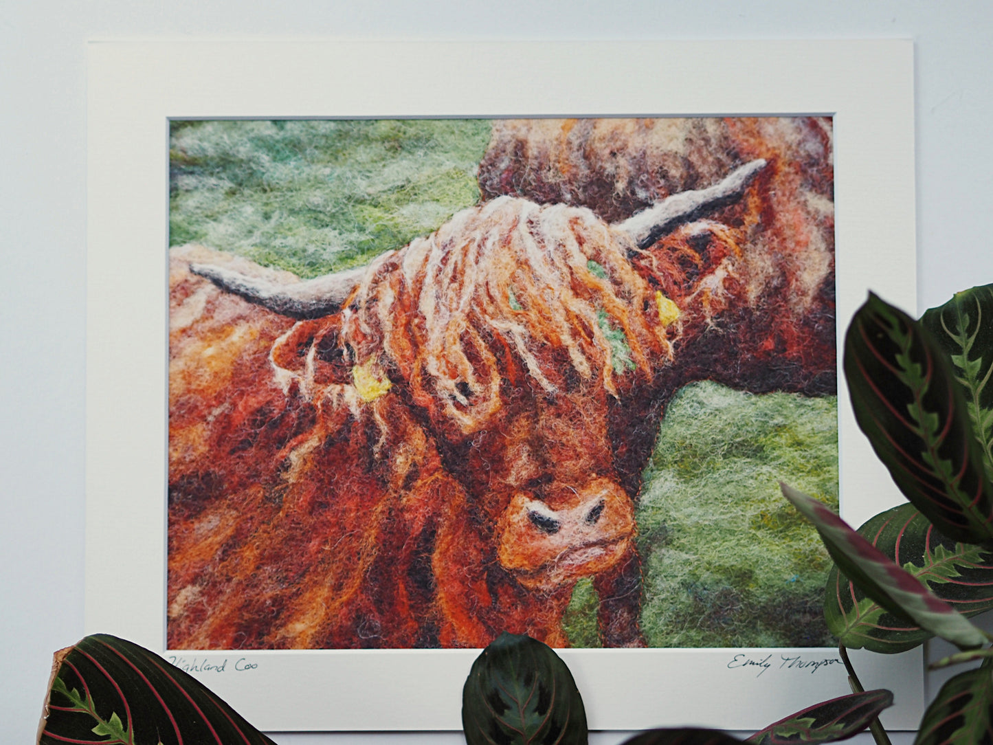 Highland Coo (Print of Needle Felted Original)